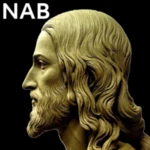 Logo of N.A.Bible android Application 